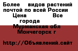 Более200 видов растений почтой по всей России › Цена ­ 100-500 - Все города  »    . Мурманская обл.,Мончегорск г.